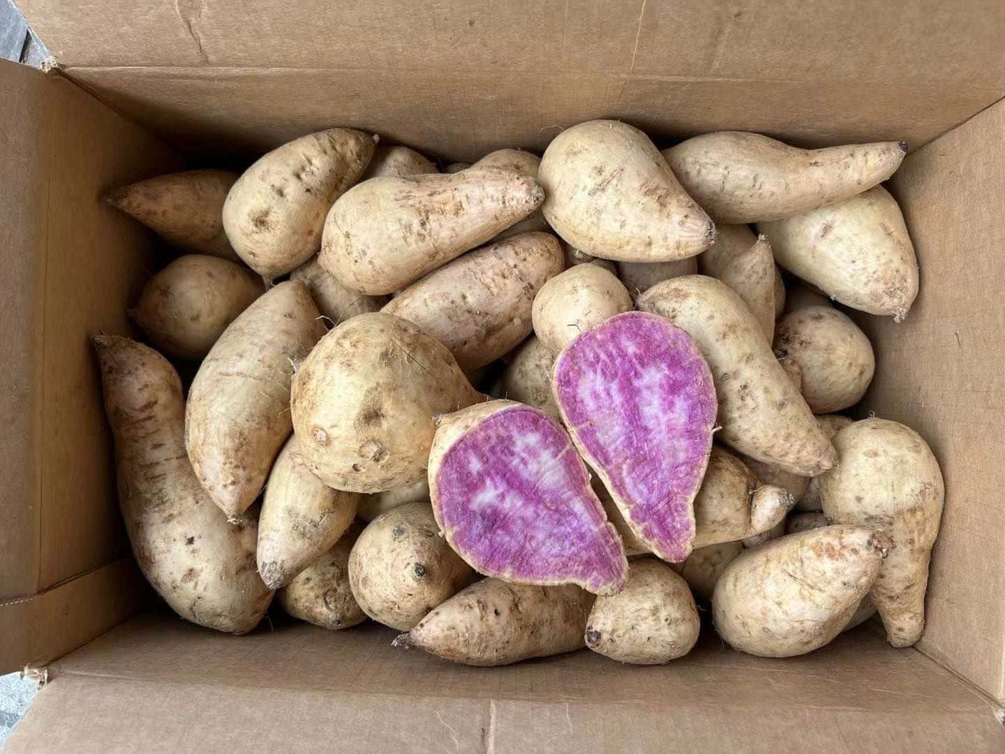 purple sweet potato, cardboard box, whole and halved, HD Desktop Wallpaper