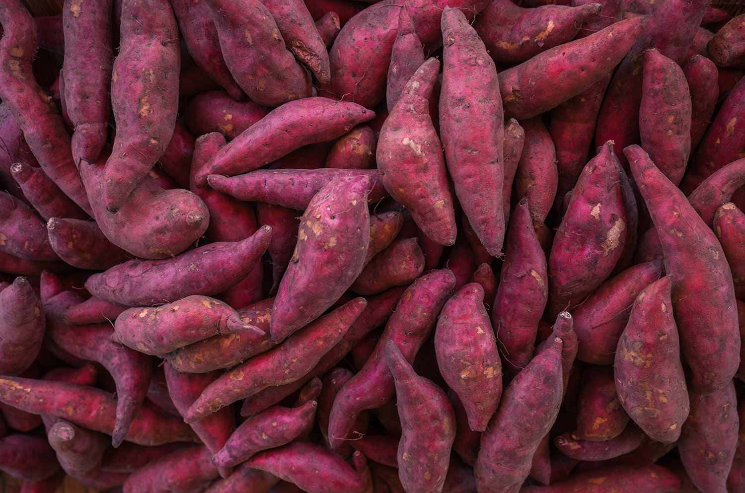 Purple Sweet Potato, vibrant purple, textured skin, HD Desktop Wallpaper