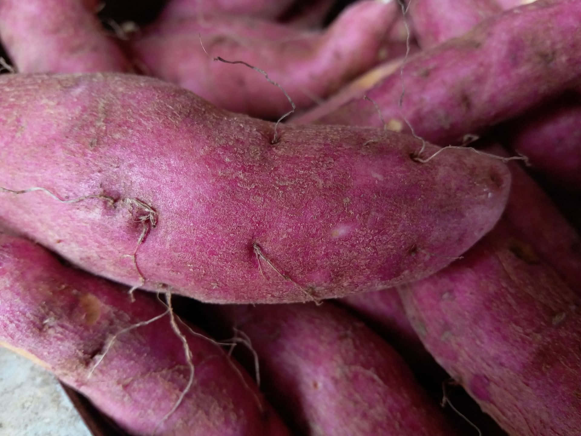Purple Sweet Potato, vibrant purple, earthy texture, Full HD Desktop Wallpaper