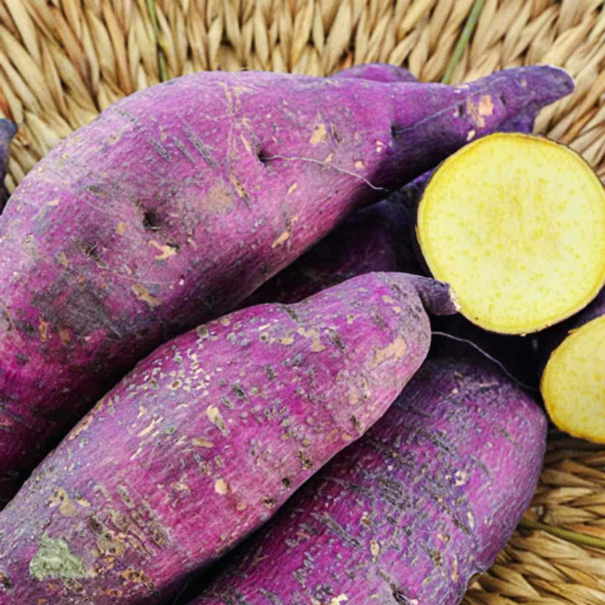Purple sweet potato, golden center, woven basket, SD Desktop Wallpaper