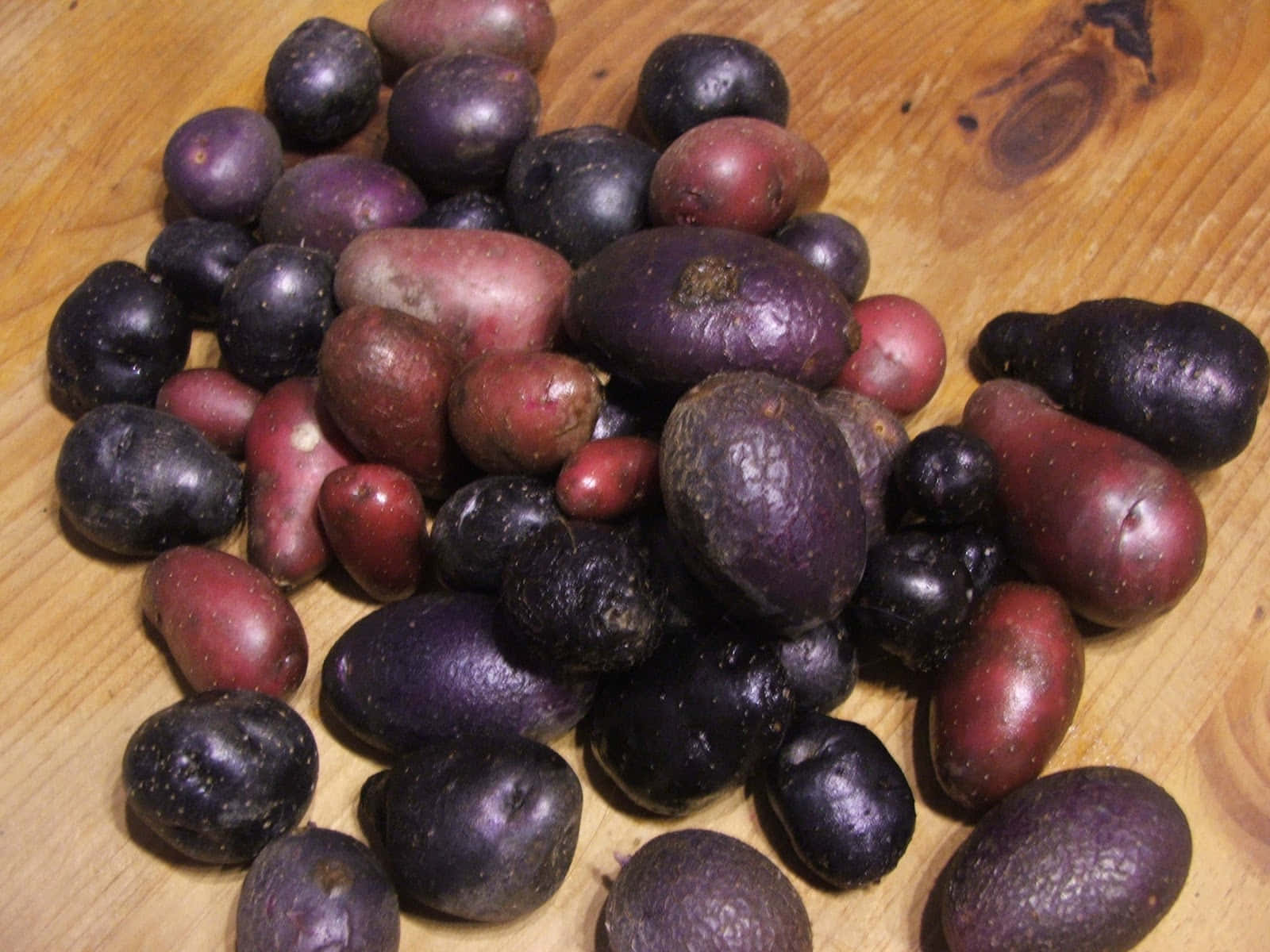 purple potato, dark purple, red potatoes, HD Desktop Wallpaper