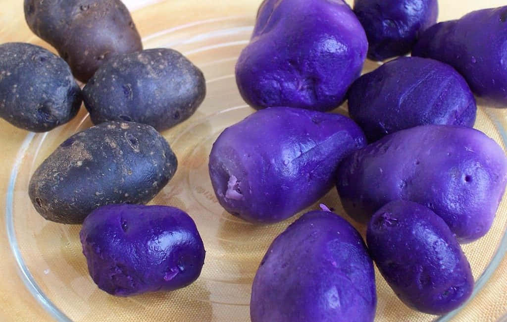 Purple Potato, vibrant purple, dark-skinned, SD Desktop Wallpaper