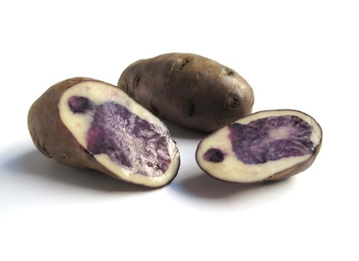 Purple Potato, vibrant violet flesh, stark white background, SD Desktop Wallpaper