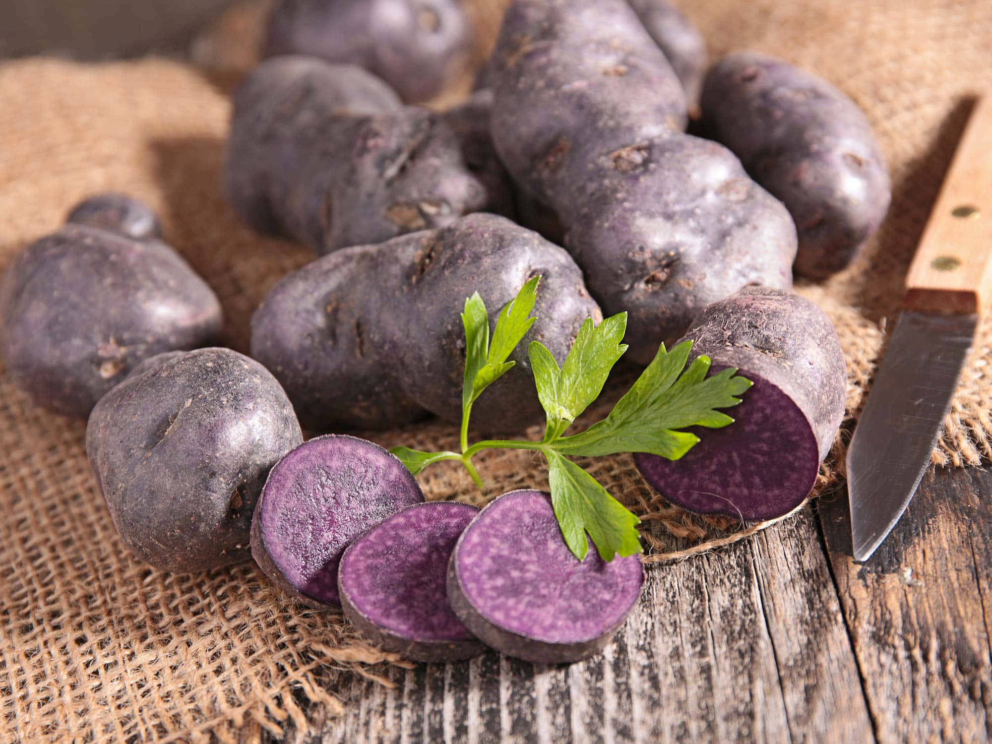 Purple Potatoes, vibrant interiors, fresh parsley, Full HD Desktop Wallpaper