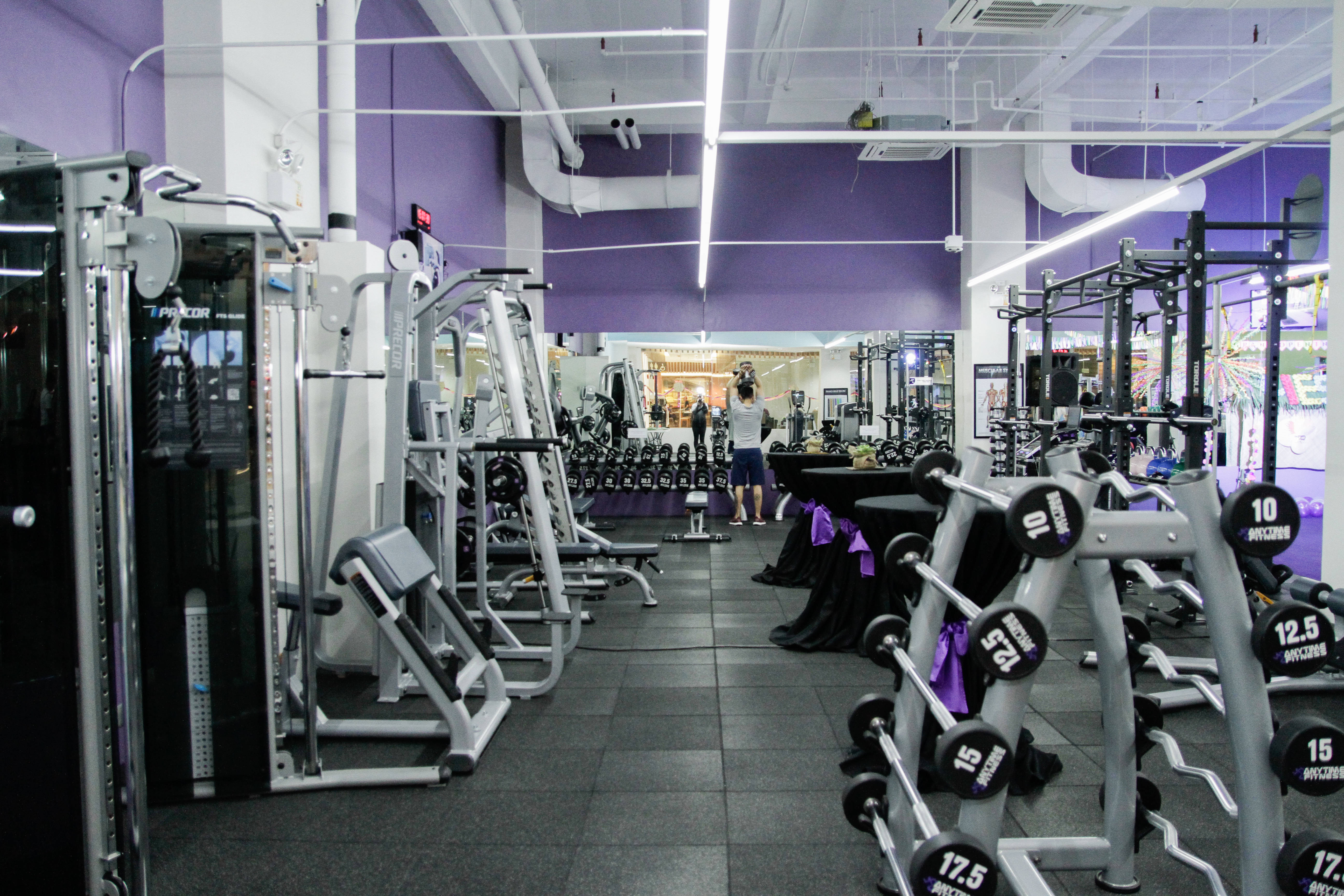 purple walls, weight machines, dumbbells, 5K Desktop Wallpaper