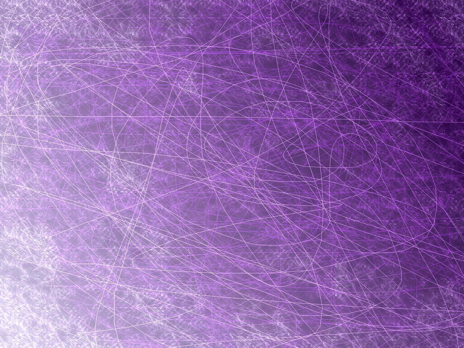 vibrant purple, glowing white lines, abstract background, HD Desktop Wallpaper