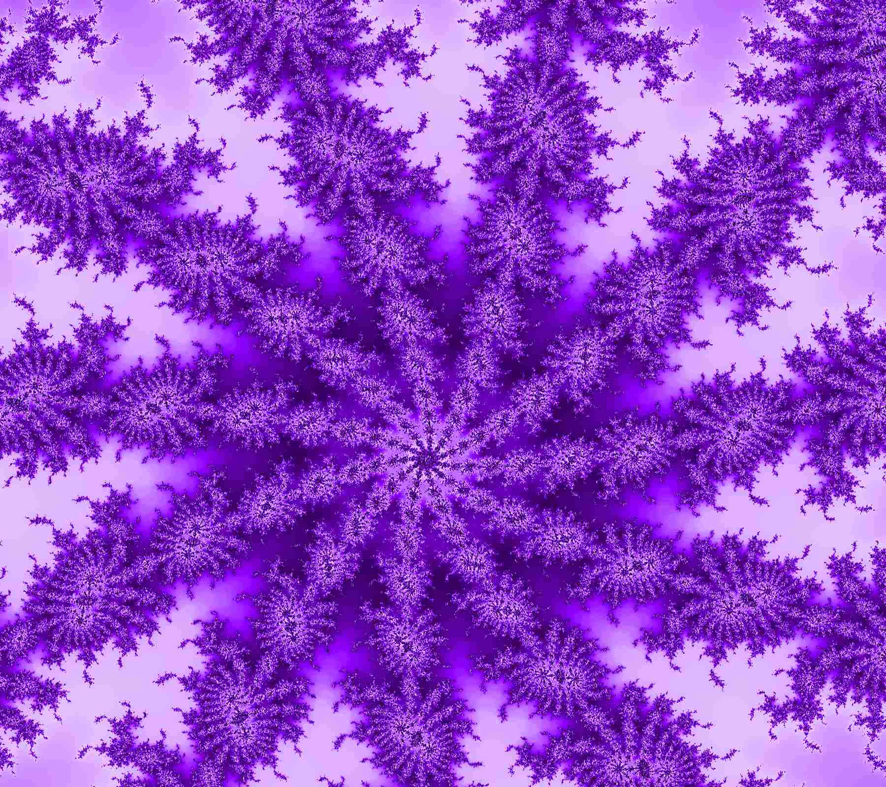 purple fractal pattern, symmetrical starburst design, soft lavender background, HD Desktop Wallpaper