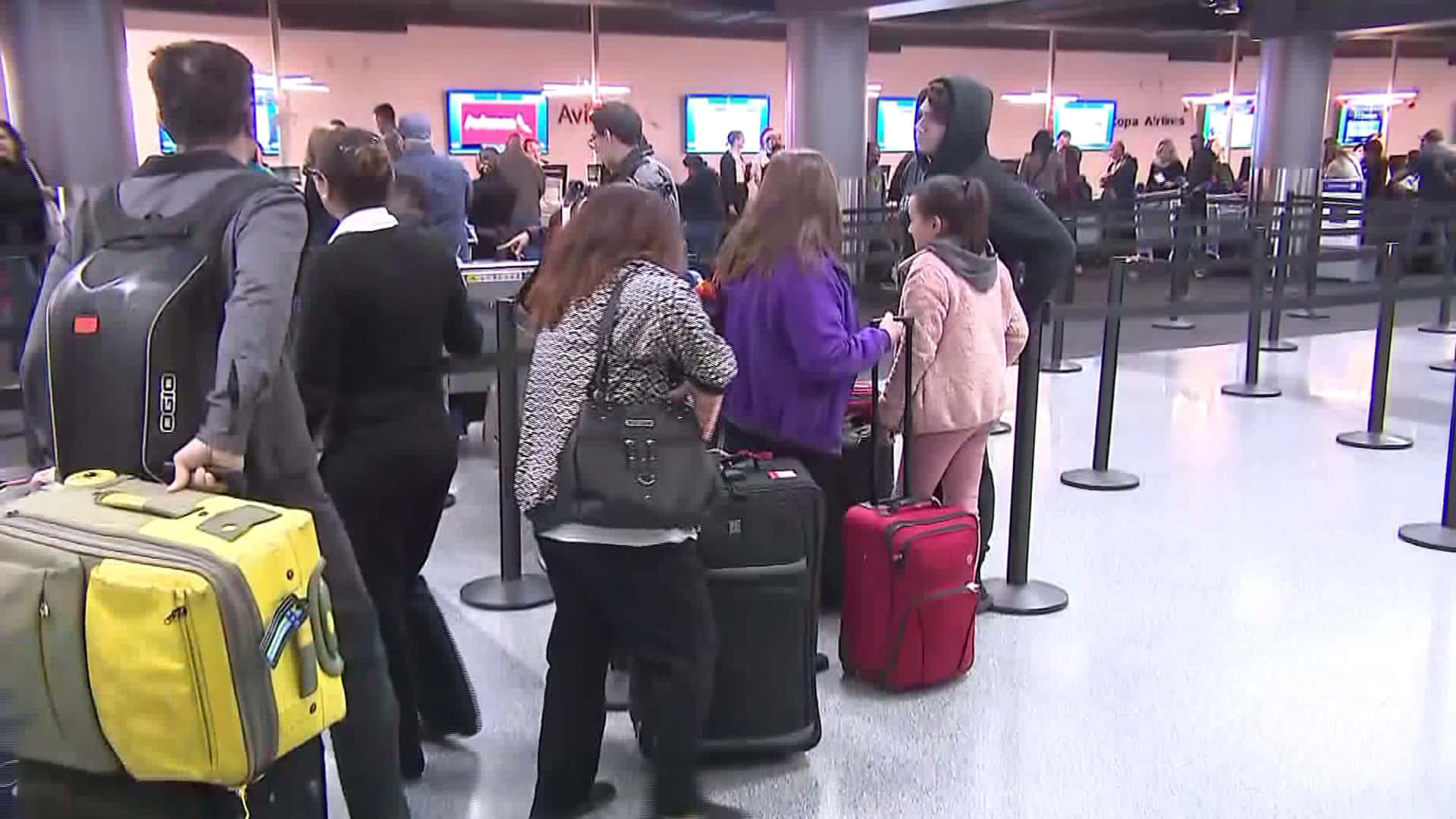 Purple Travel Bag, rolling suitcase, airport check-in counters, Full HD Desktop Wallpaper