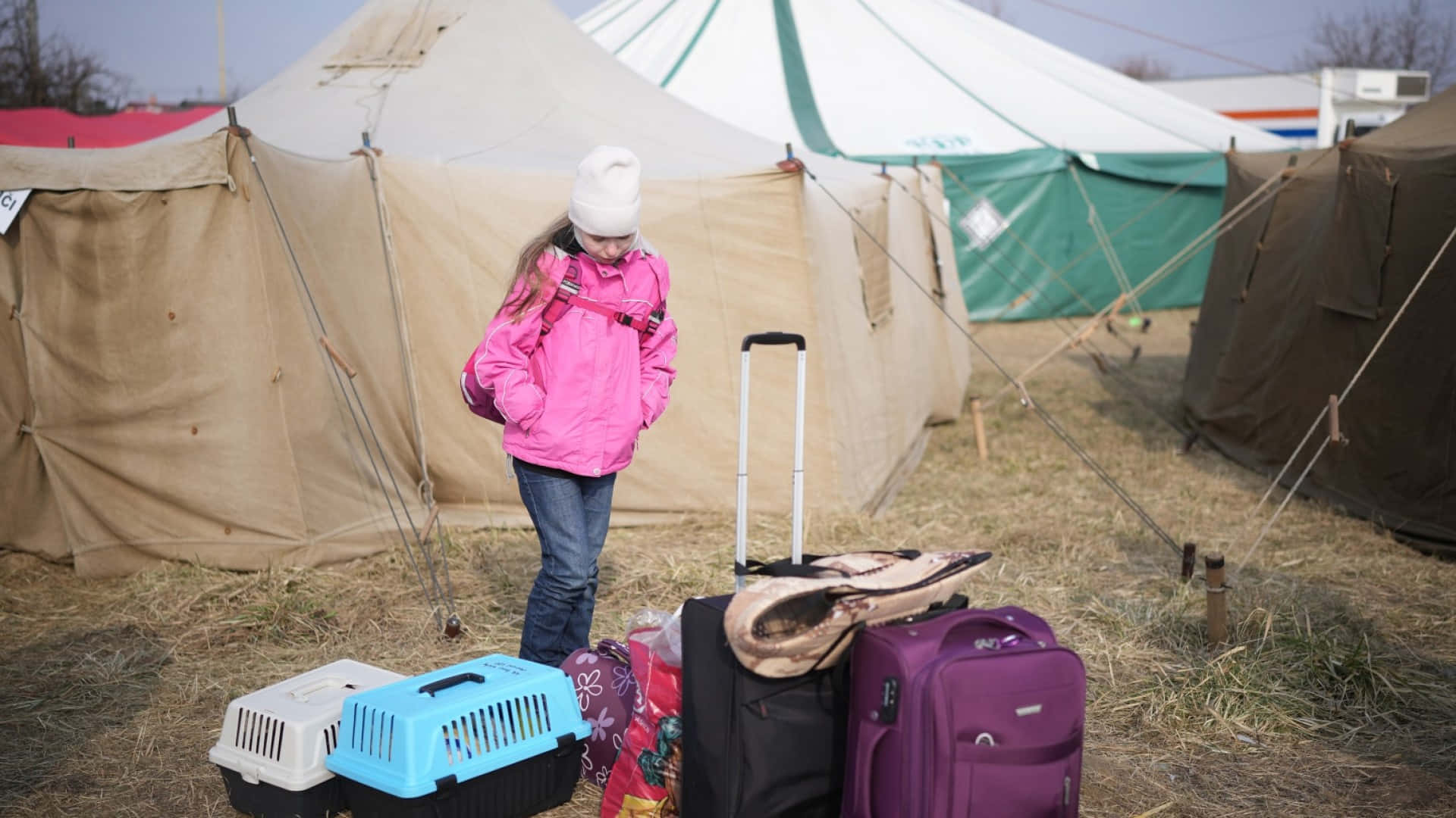 purple travel bag, pink jacket, white beanie, Full HD Desktop Wallpaper