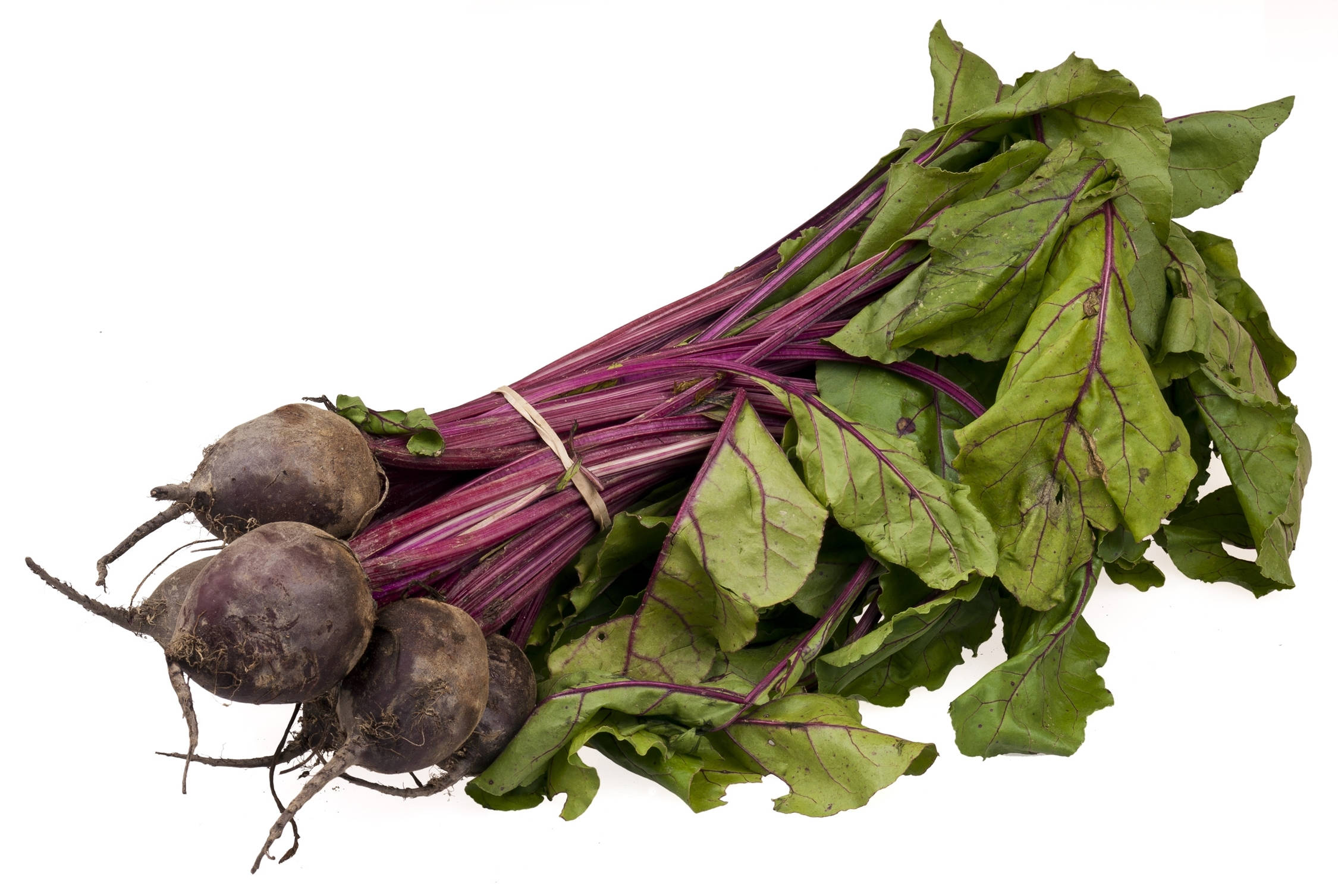 beetroots, deep purple stems, green leaves, Full HD Desktop Wallpaper