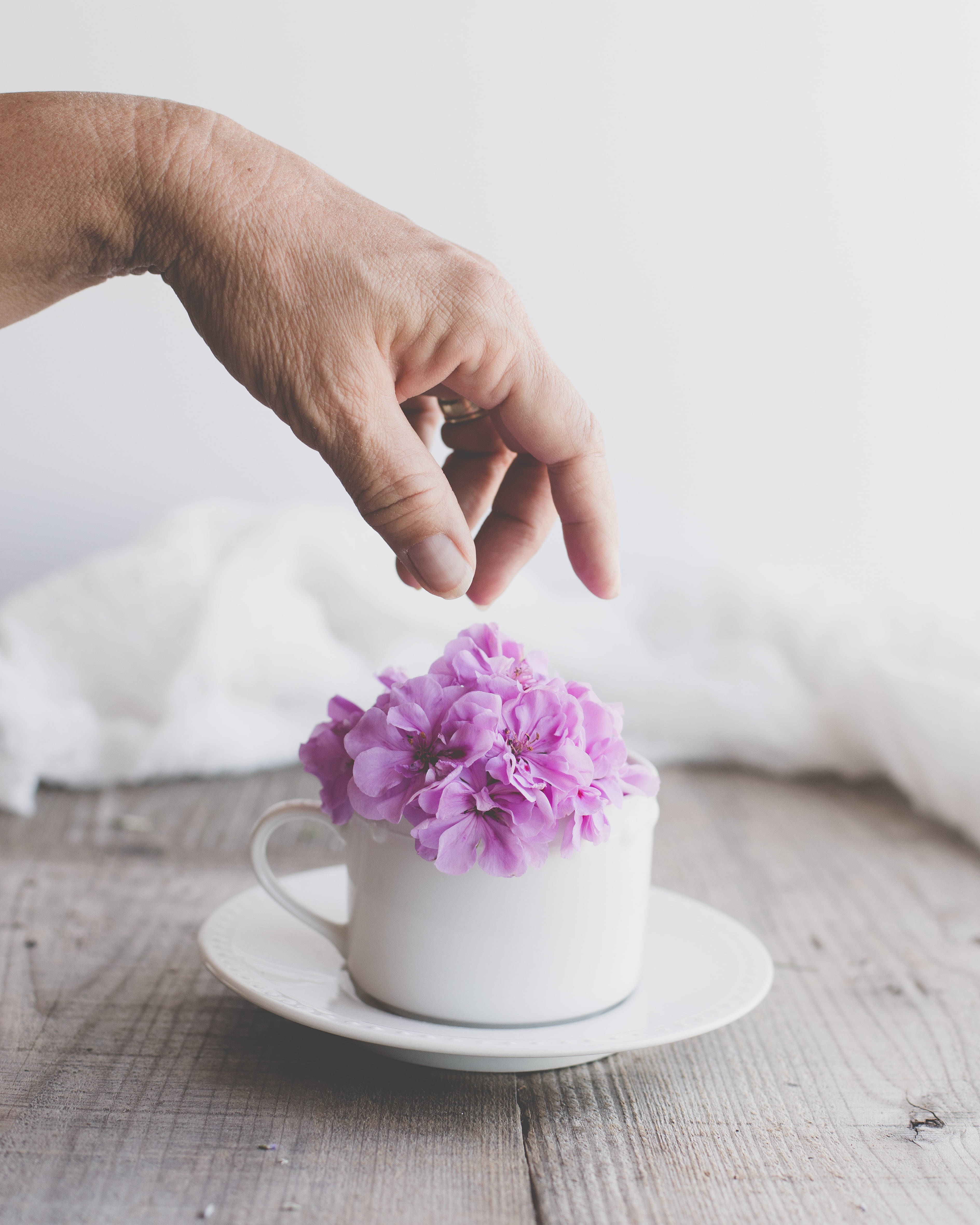 vibrant purple flowers, white teacup, rustic wooden table, 4K Phone Wallpaper