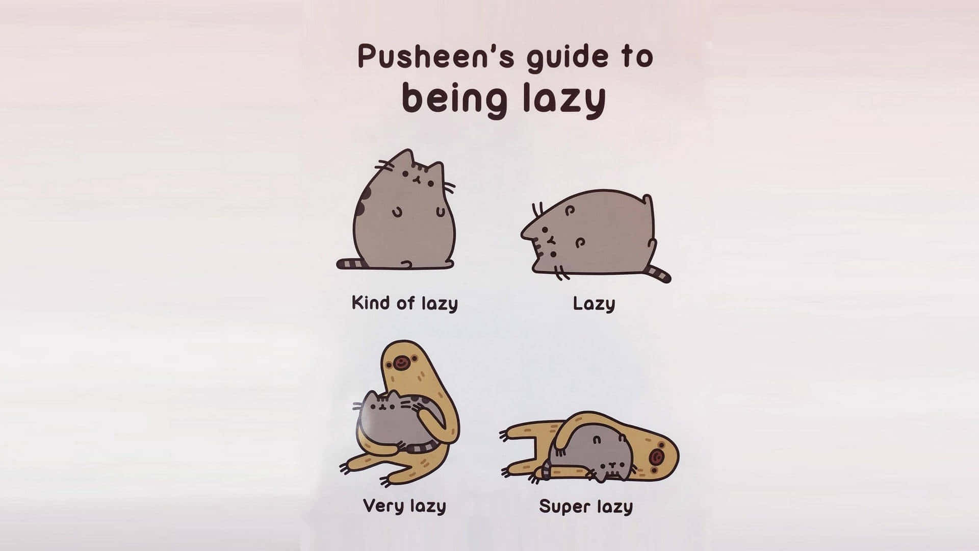 Pusheen, meme laptop, lazy poses, Full HD Desktop Wallpaper