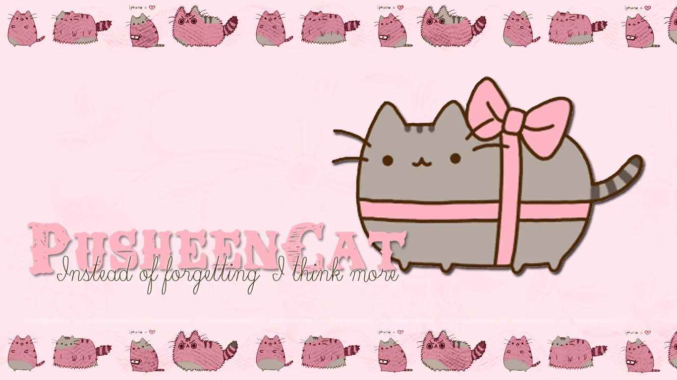 Pusheen, kawaii, pink bow, HD Desktop Wallpaper