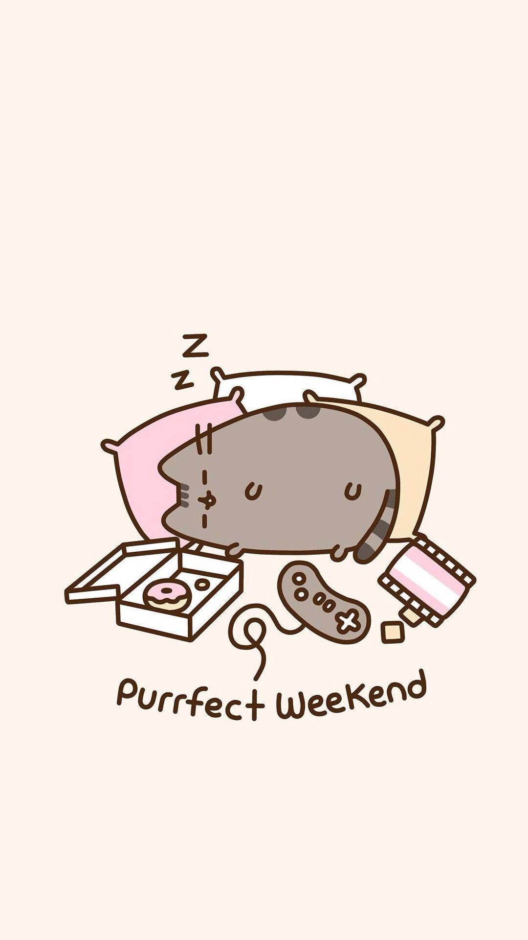 Pusheen, donut box, game controller, Full HD Phone Wallpaper