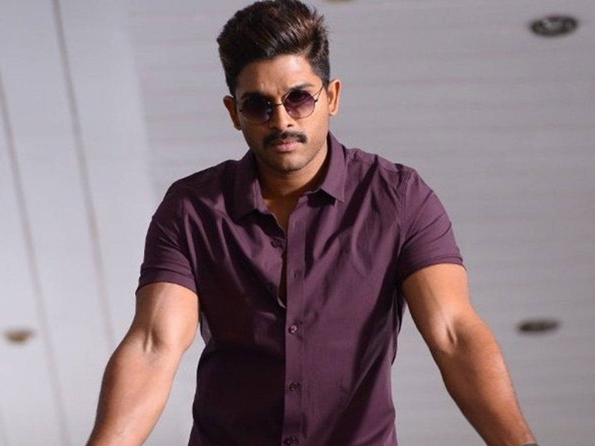 Pushpa, Allu Arjun, maroon shirt, SD Desktop Wallpaper