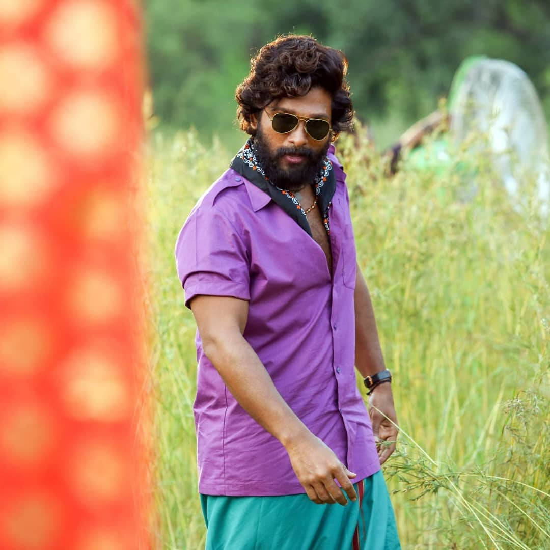 Puspa, purple polo, beard, SD Desktop Wallpaper