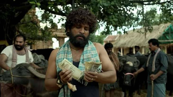 Puspa, counting money, bearded man, SD Desktop Wallpaper