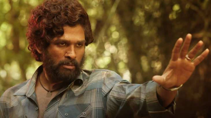 Puspa, bearded man, curly hair, SD Desktop Wallpaper