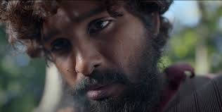 Puspa, bearded man, intense eyes, SD Desktop Wallpaper