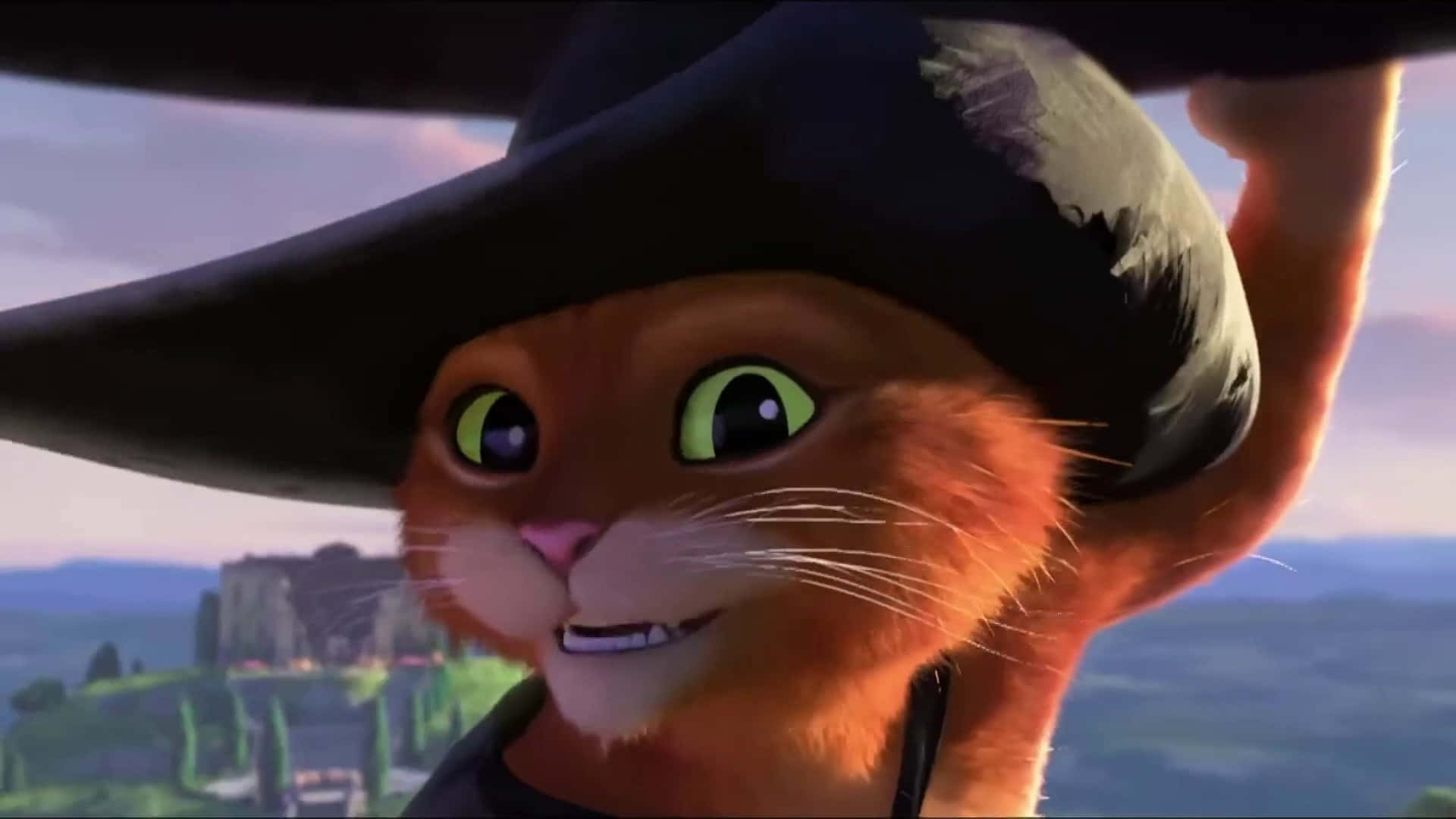 Puss In Boots The Last Wish, ginger cat, black hat, Full HD Desktop Wallpaper