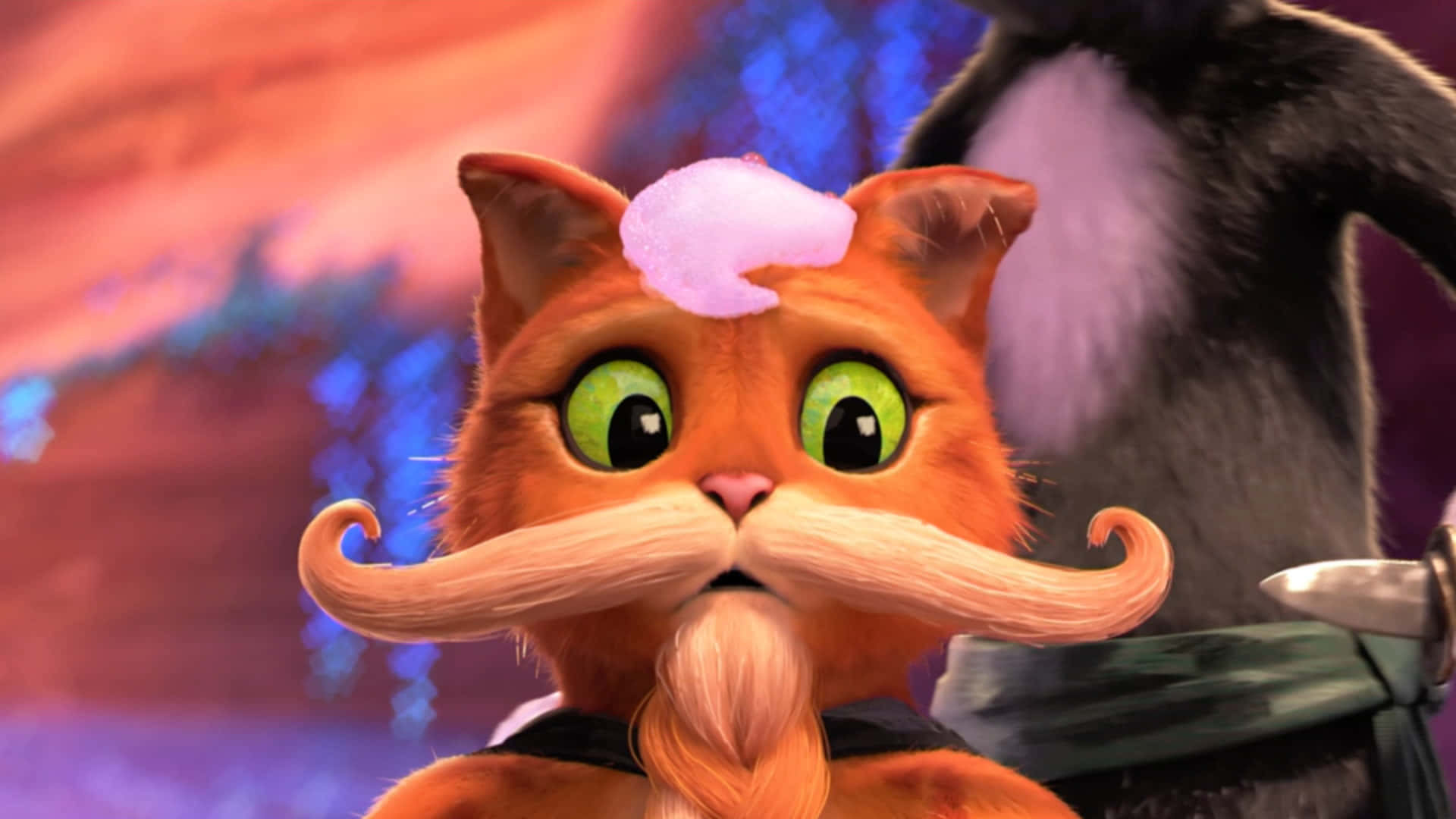 Puss In Boots, orange animated cat, fluffy pink hat, Full HD Desktop Wallpaper