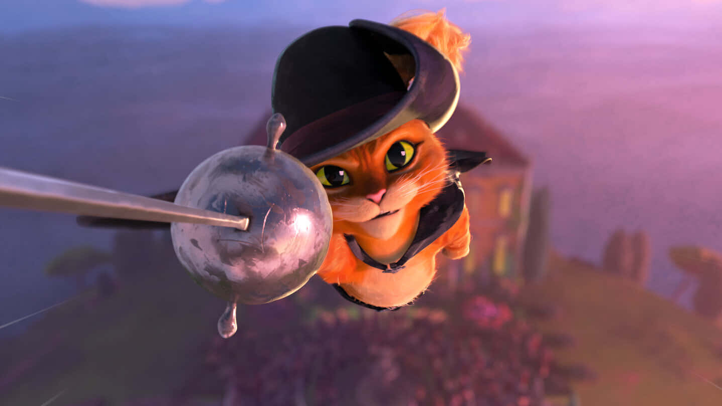 Puss In Boots, orange cat, black hat, HD Desktop Wallpaper