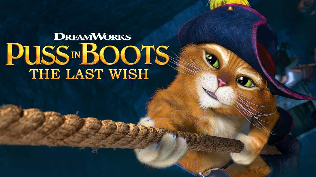 Puss In Boots The Last Wish, orange cat, pirate hat, HD Desktop Wallpaper