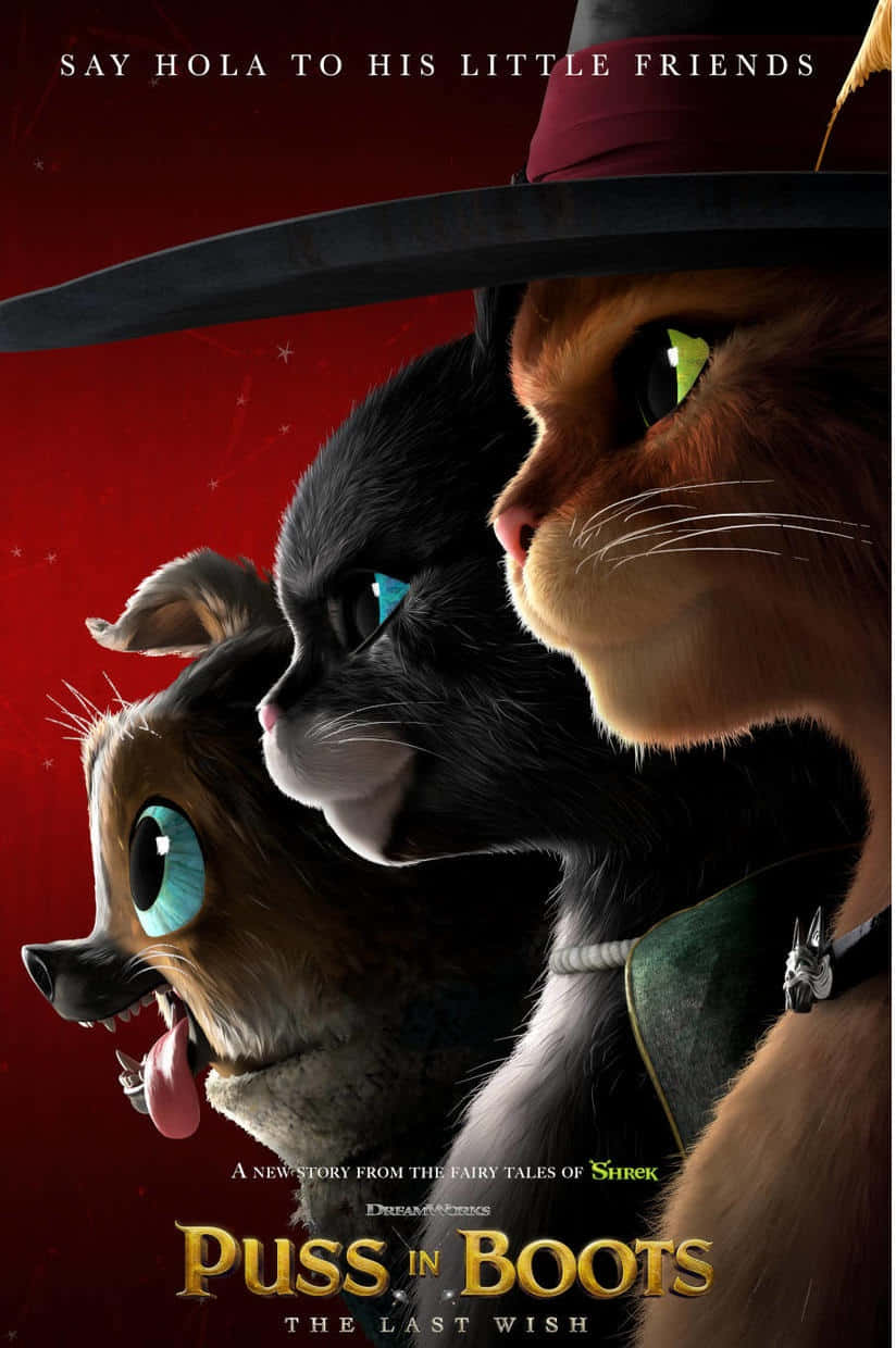Puss In Boots The Last Wish, movie poster, deep red, SD Phone Wallpaper