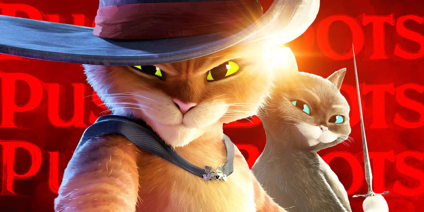 Puss In Boots, cowboy hats, red background, HD Desktop Wallpaper