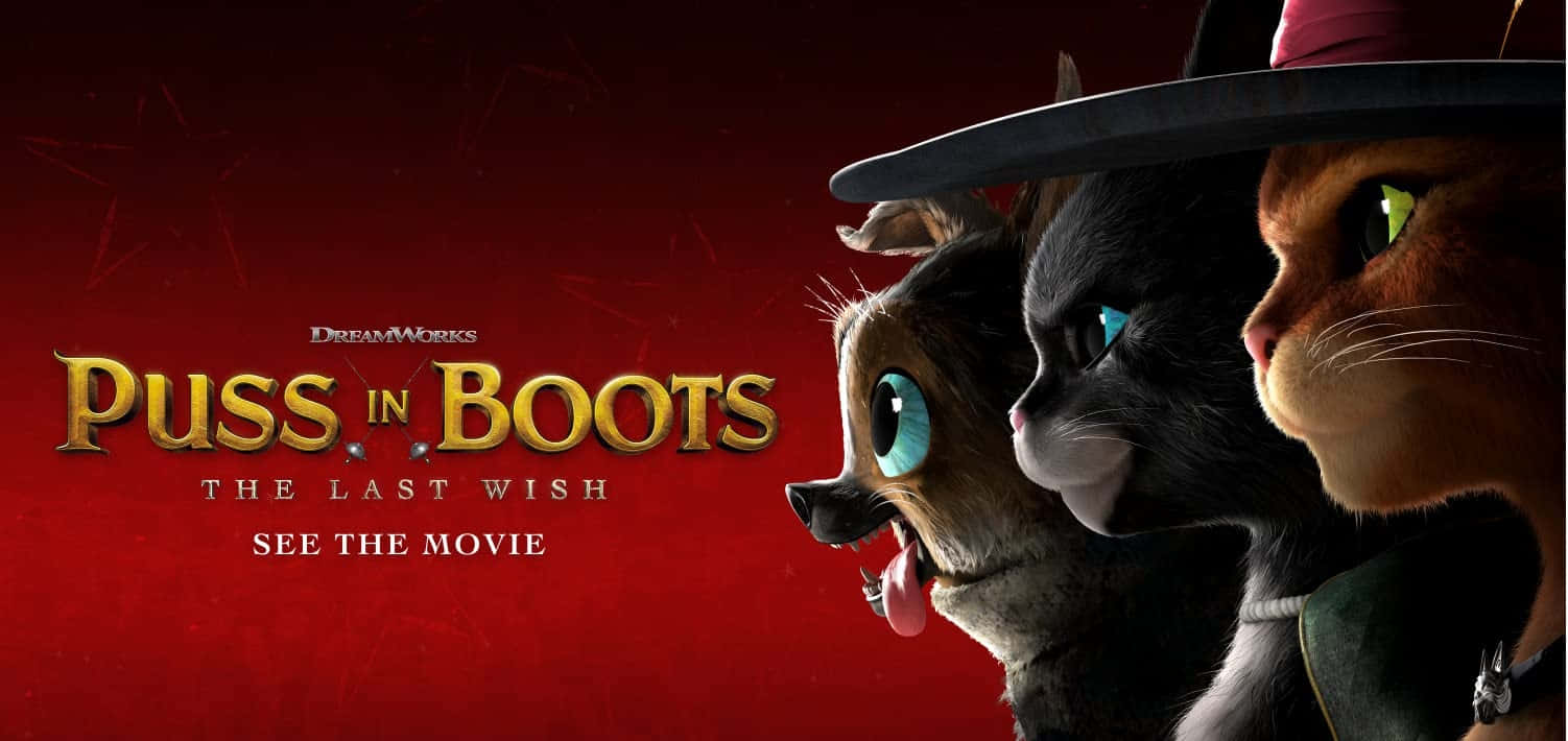 Puss In Boots The Last Wish, movie promo, animated cats, HD Desktop Wallpaper
