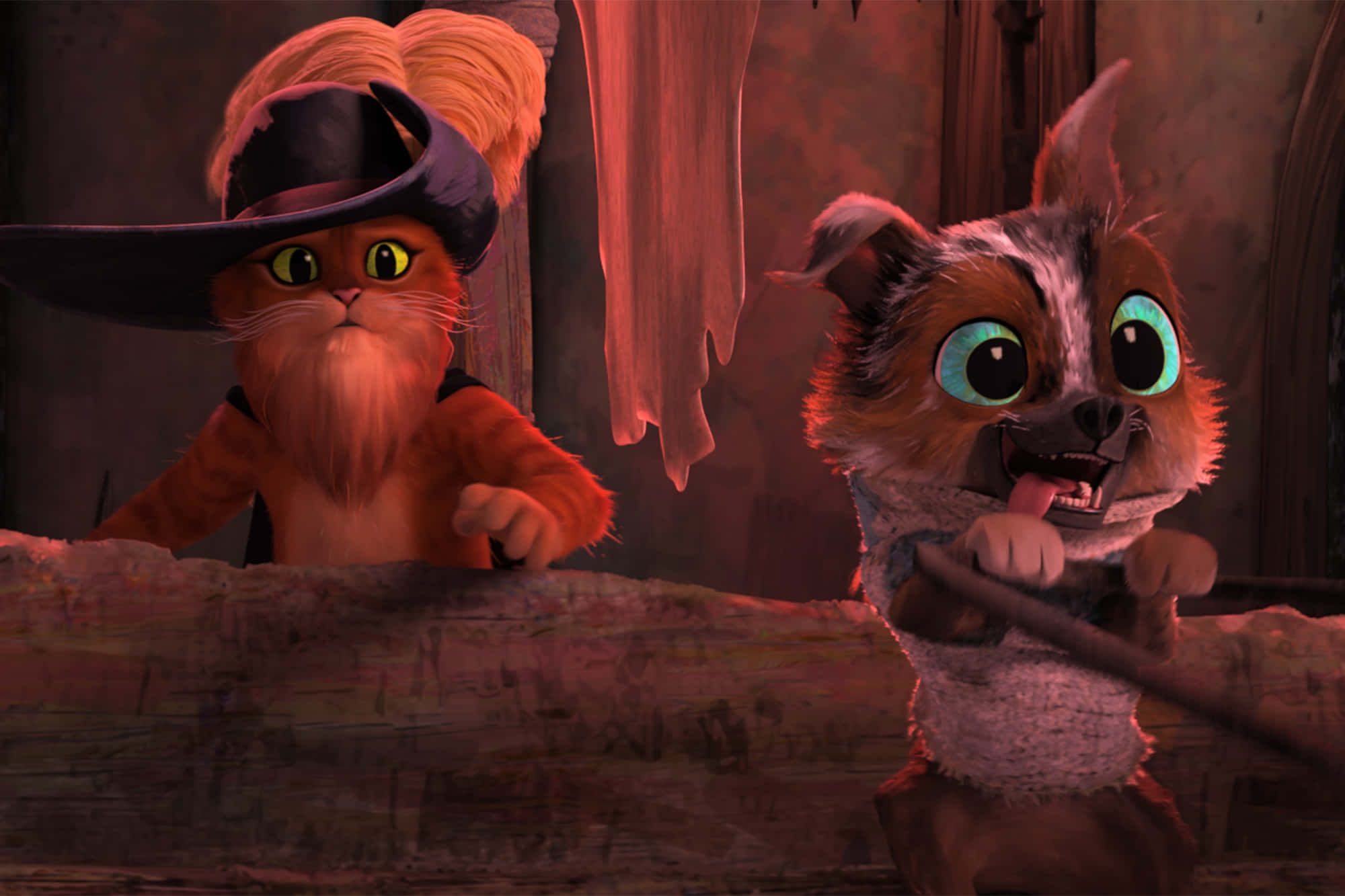 Puss In Boots, Perrito, cat in a hat, Full HD Desktop Wallpaper