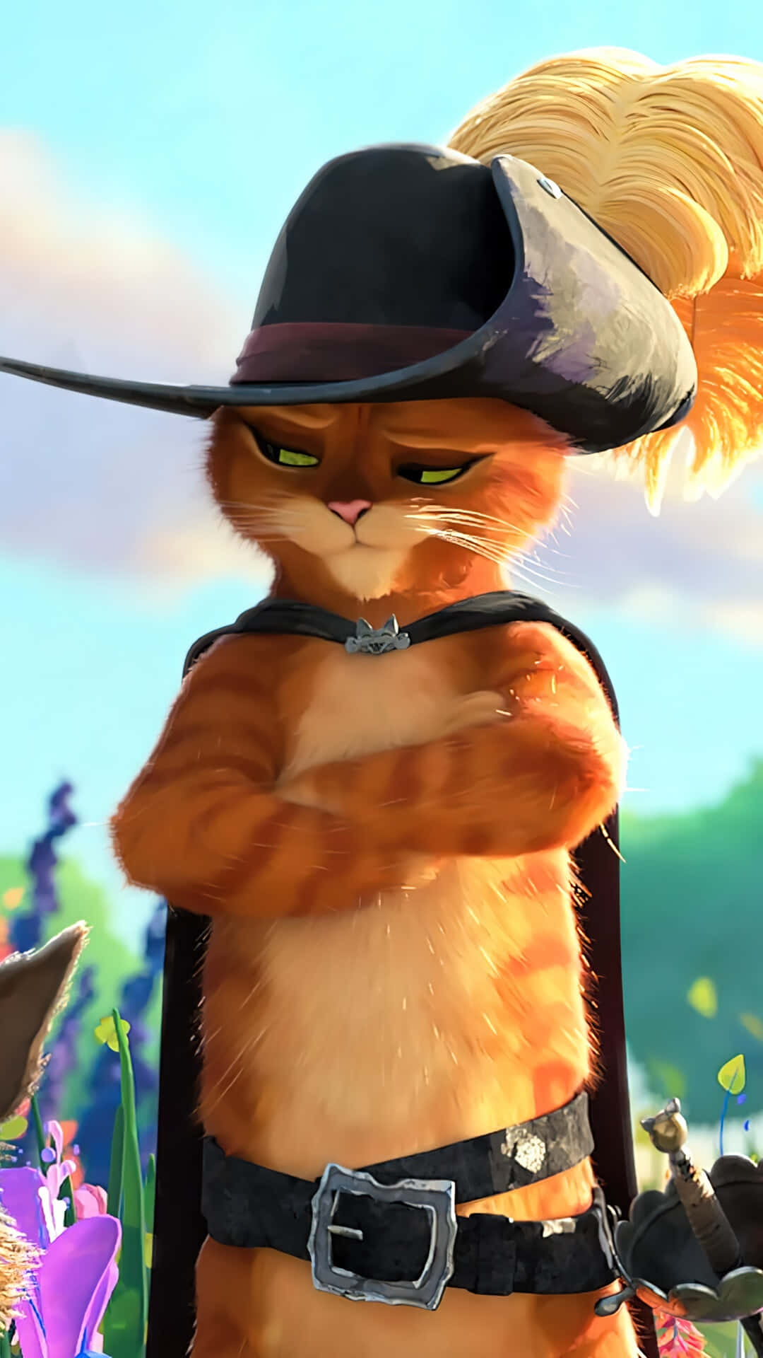 Puss In Boots, orange tabby cat, black pirate hat, Full HD Phone Wallpaper