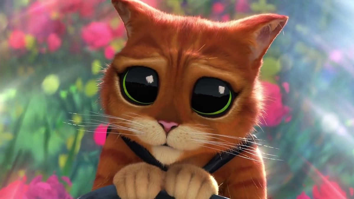 Puss In Boots, orange animated cat, huge green-rimmed eyes, SD Desktop Wallpaper