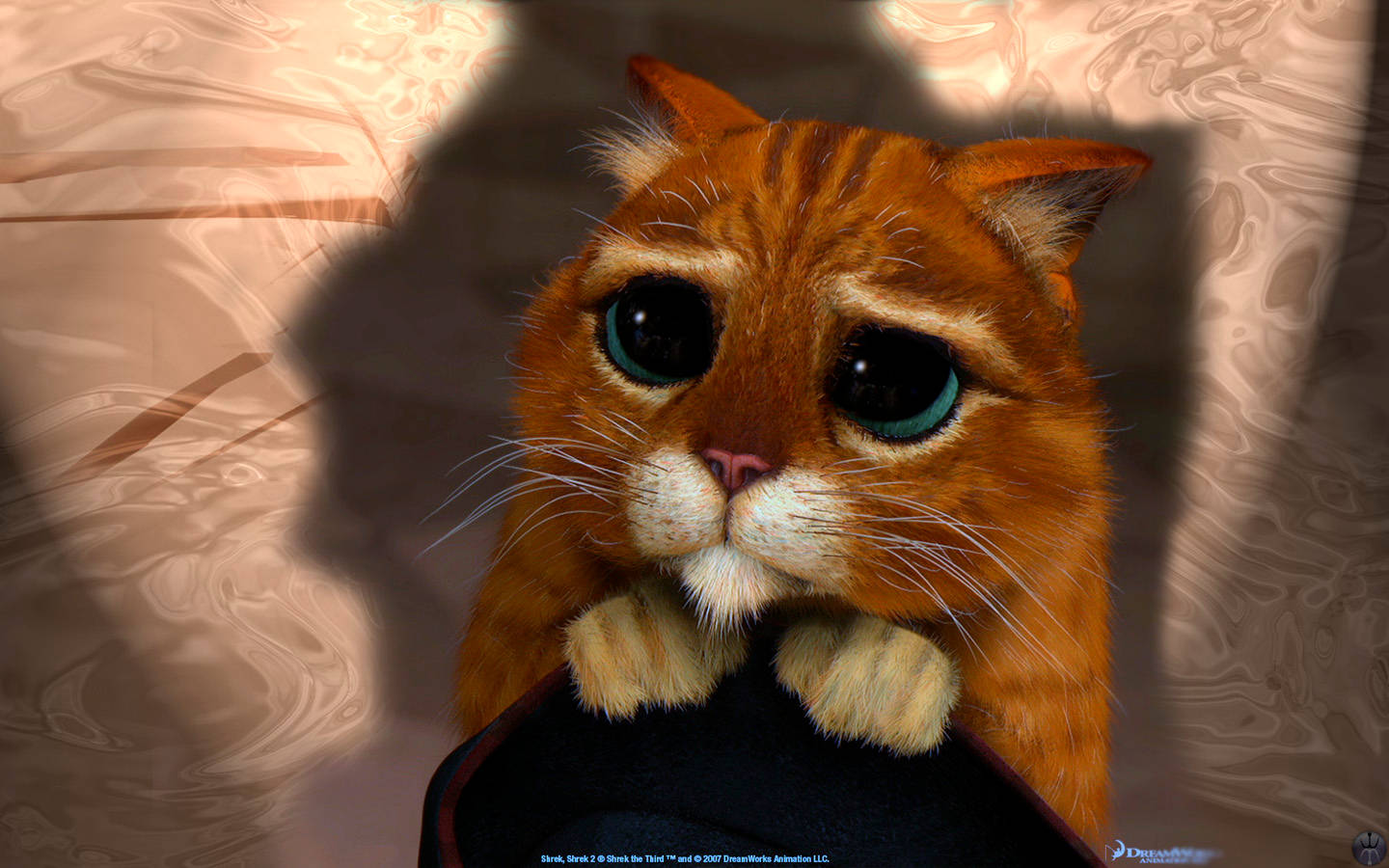 Puss In Boots, orange cat, large blue eyes, HD Desktop Wallpaper