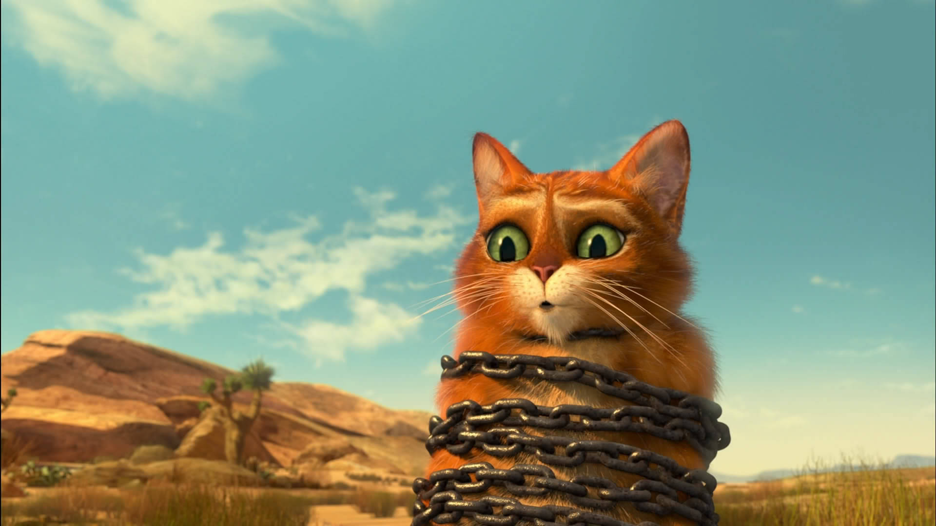 Puss In Boots, orange cat, wide green eyes, Full HD Desktop Wallpaper