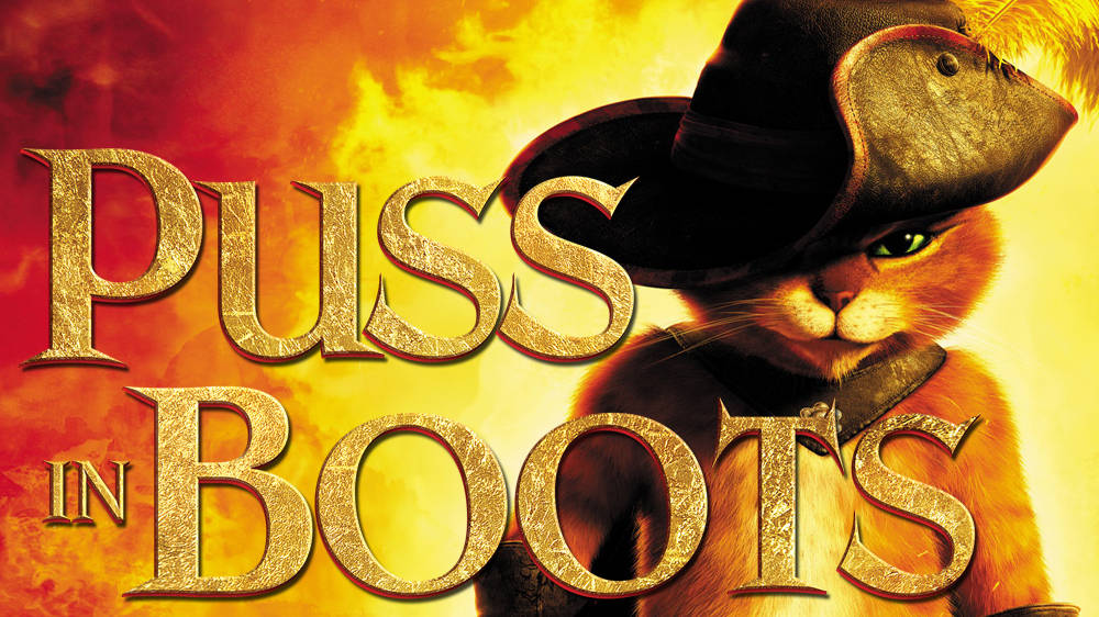 Puss In Boots, orange cat, pirate hat, SD Desktop Wallpaper