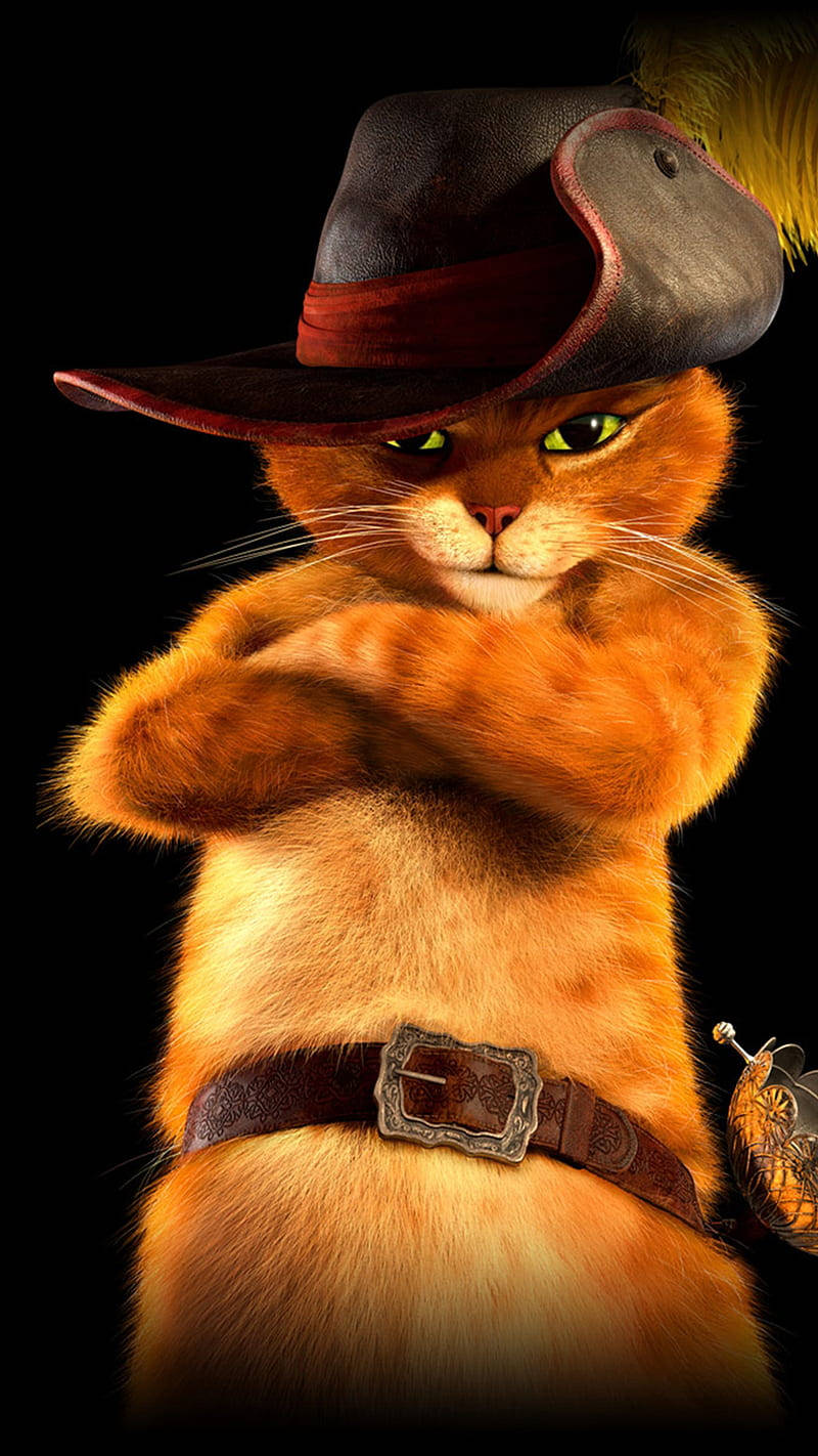 Puss In Boots, orange cat, cowboy hat, HD Phone Wallpaper