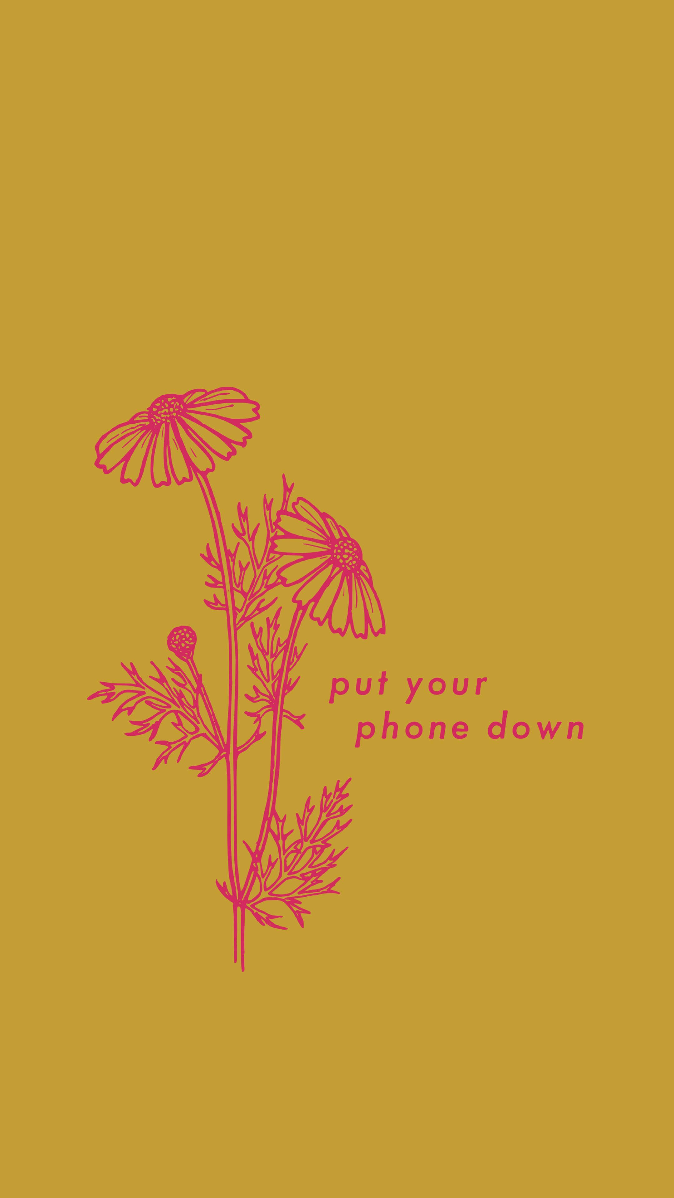 mustard yellow, pink line-art daisies, text put your phone down, 4K Phone Wallpaper