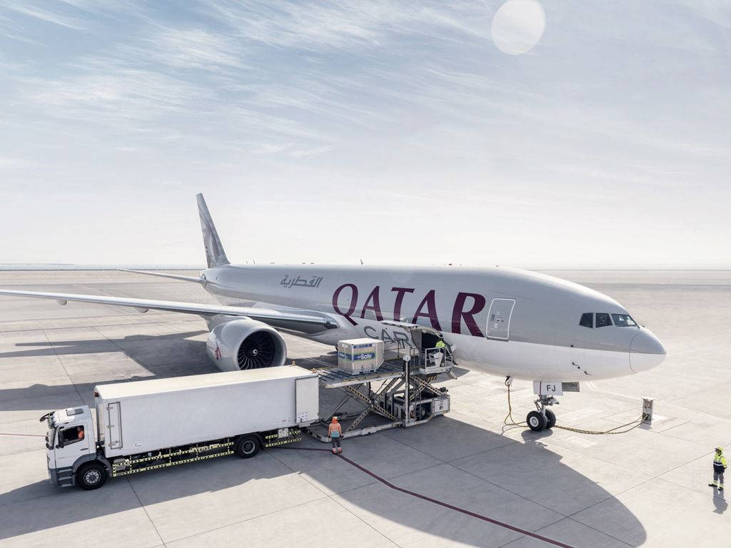 Qatar Airways, airplane, sunlit tarmac, SD Desktop Wallpaper