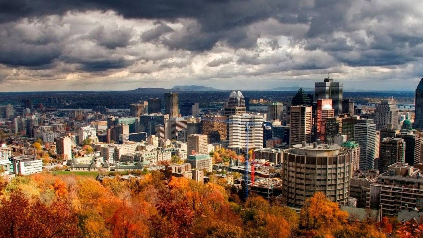 Quebec City, autumn, fiery orange trees, HD Desktop Wallpaper