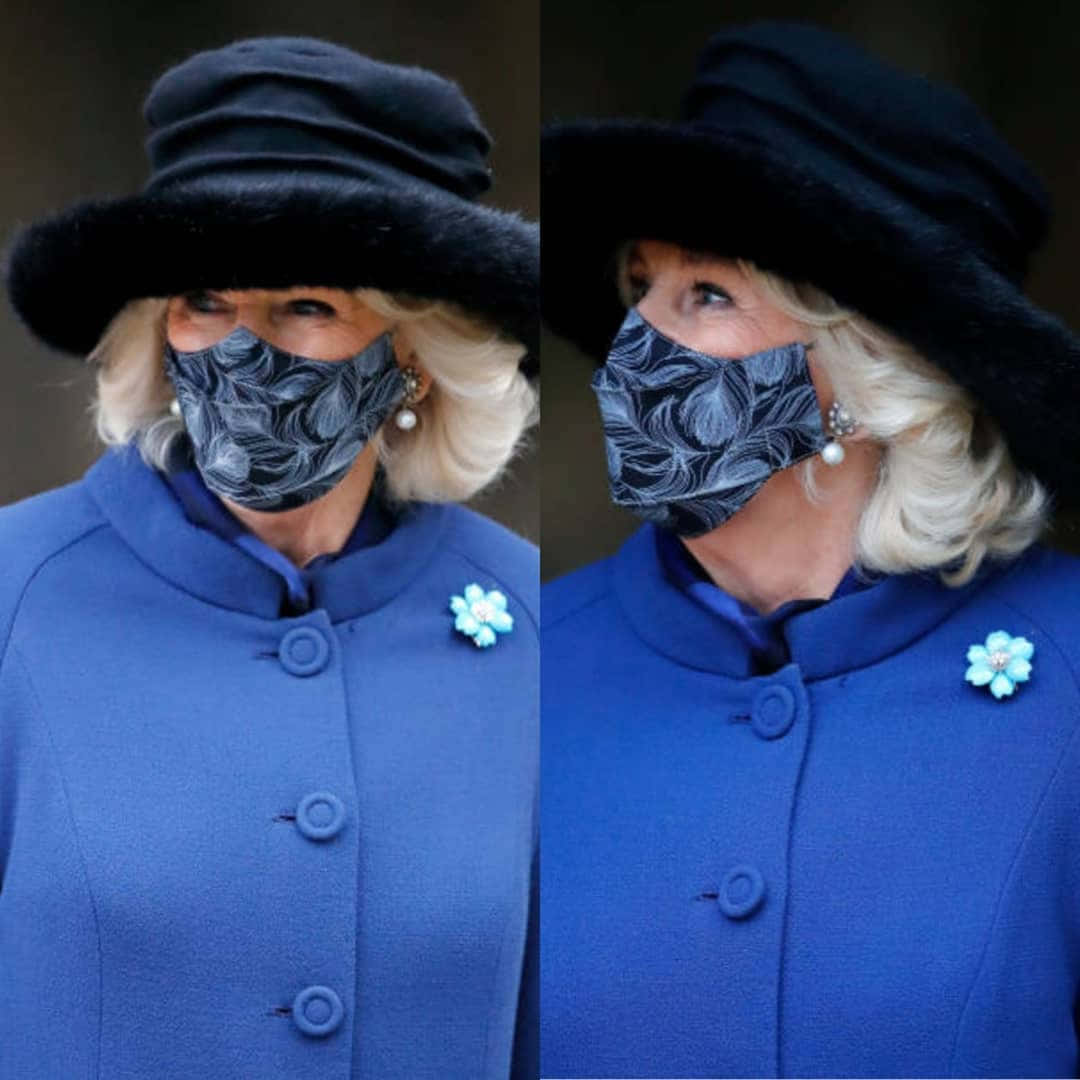 Queen Camilla, blue flower brooch, royal blue coat, SD Desktop Wallpaper