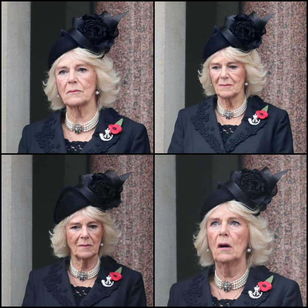 Queen Camilla, black hat, black coat, SD Desktop Wallpaper
