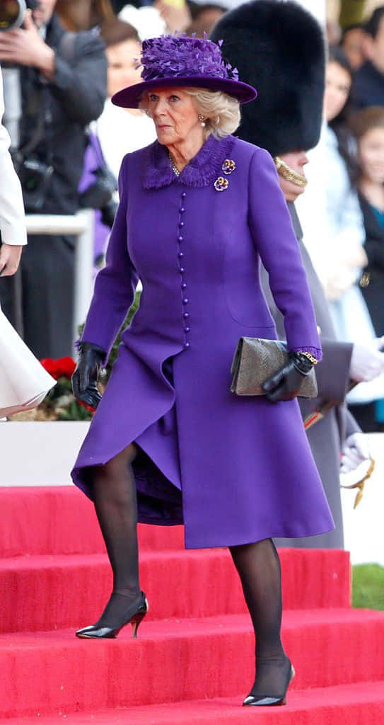 Queen Camilla, vibrant purple coat, matching hat, SD Phone Wallpaper