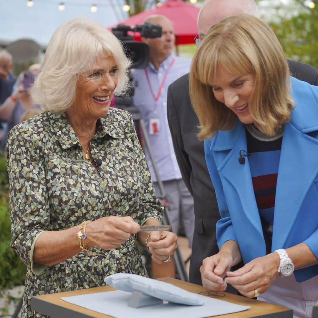 Queen Camilla, plaque, ceremonial ribbon cutting tools, SD Desktop Wallpaper