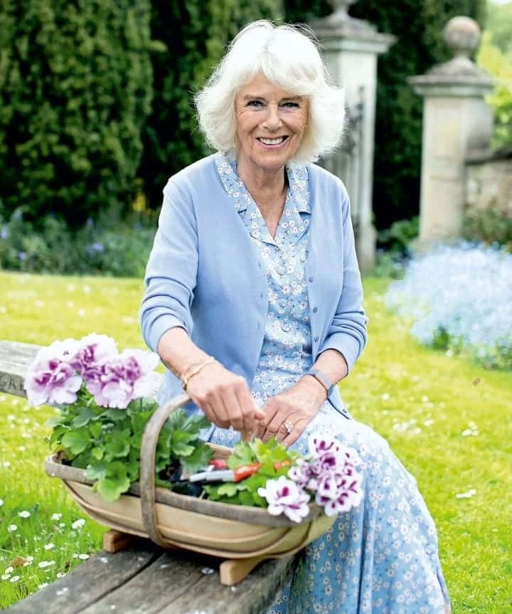 Queen Camilla, flower basket, purple flowers, SD Phone Wallpaper