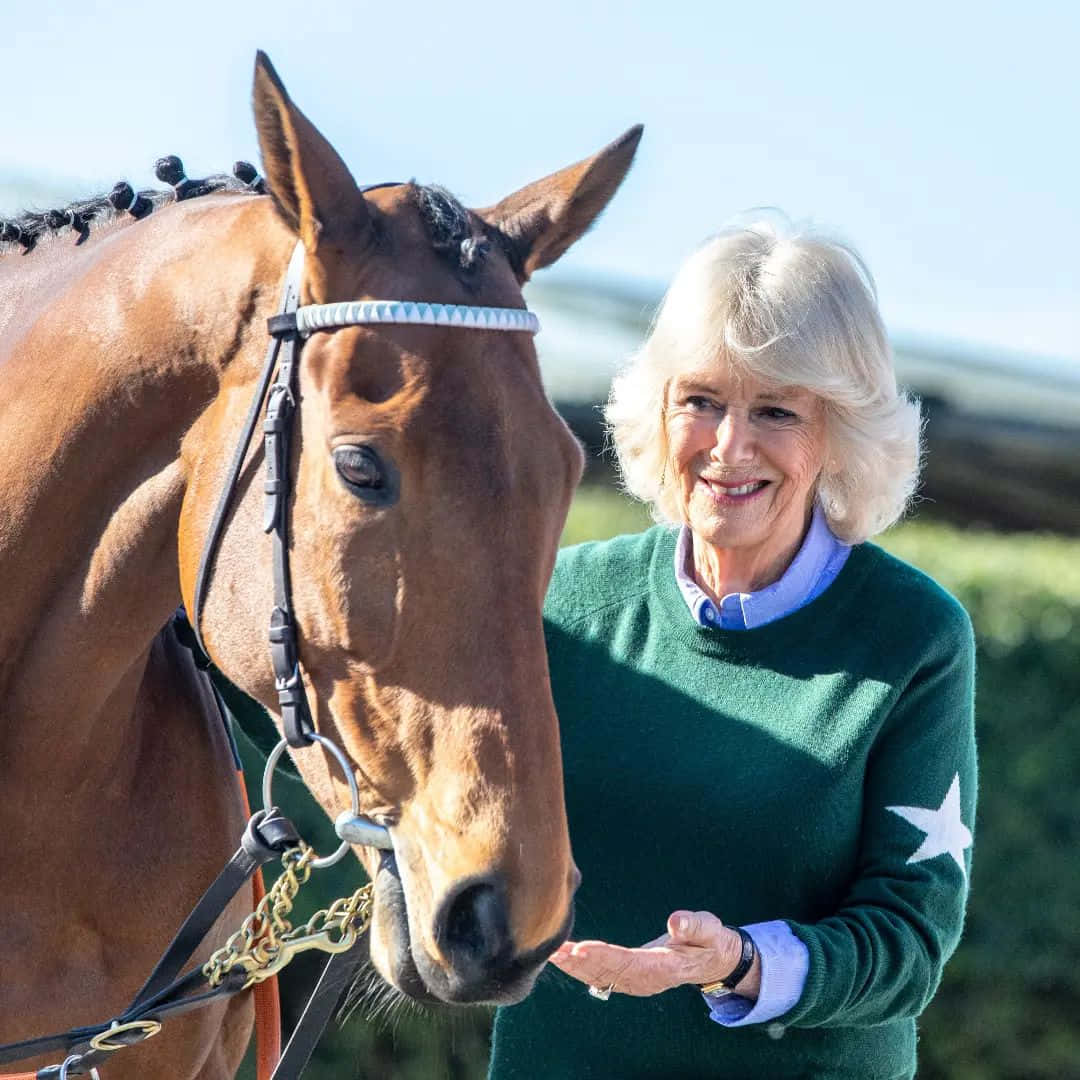 Queen Camilla, brown horse, white bridle, SD Desktop Wallpaper