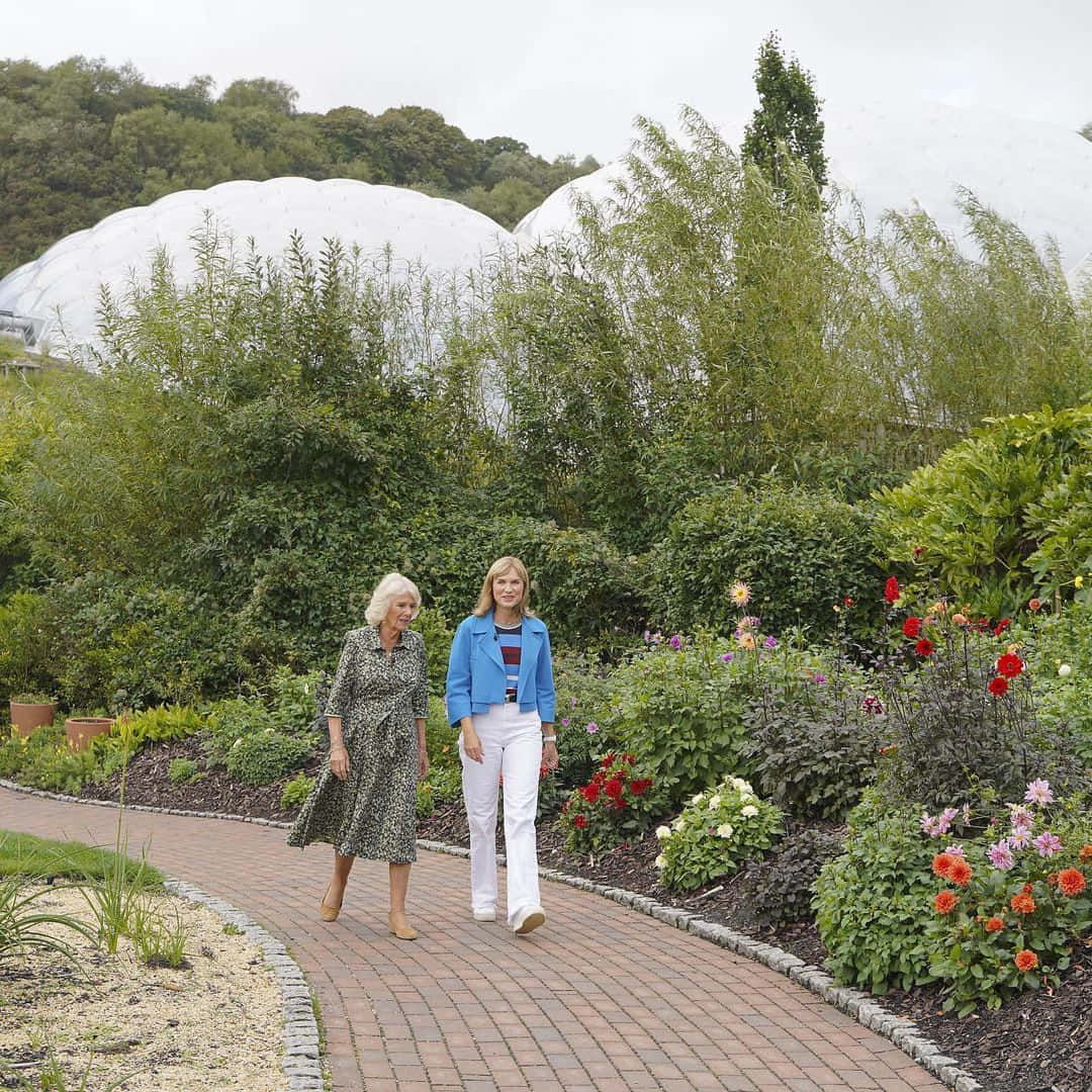 Queen Camilla, brick path, vibrant garden, SD Desktop Wallpaper