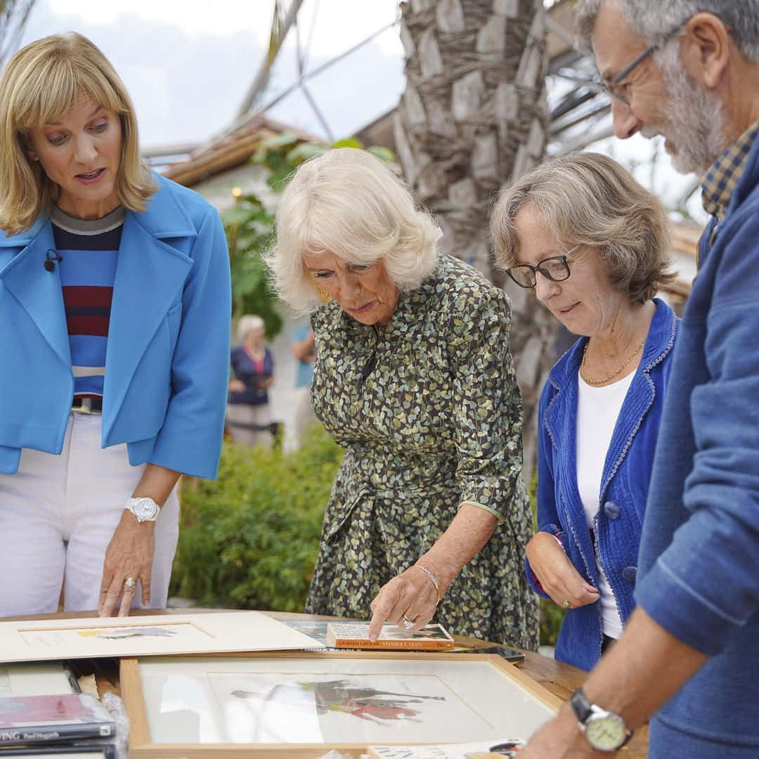 Queen Camilla, palm tree, framed artworks, SD Desktop Wallpaper