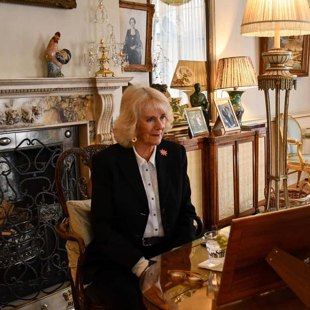 Queen Camilla, ornate room, antique furniture, SD Desktop Wallpaper