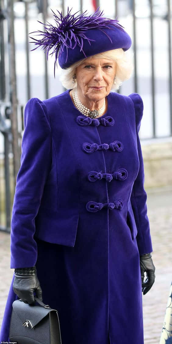 Queen Camilla, royal purple coat, feathered hat, SD Phone Wallpaper